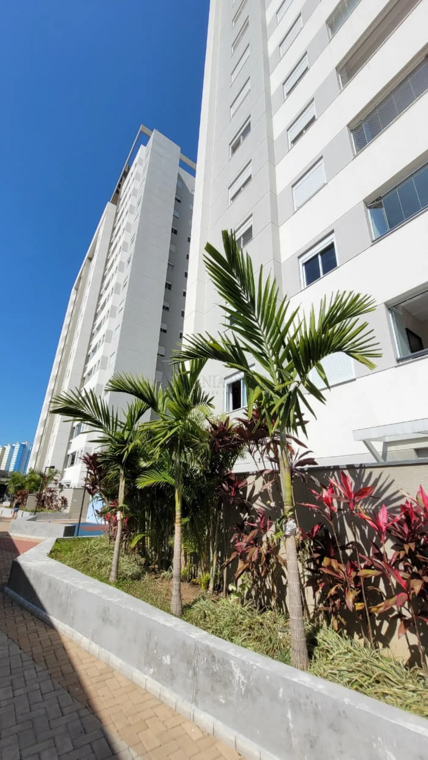 Alugar Apartamento / Padrão em São José dos Campos R$ 3.700,00 - Foto 1