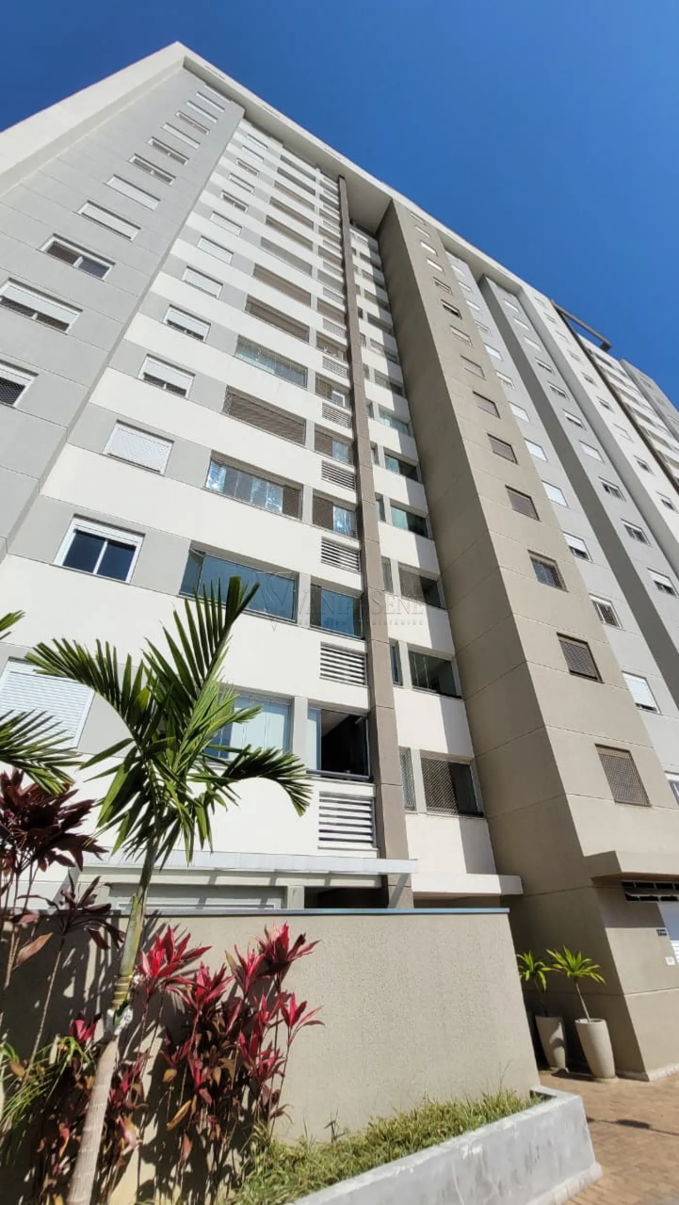 Alugar Apartamento / Padrão em São José dos Campos R$ 3.700,00 - Foto 2