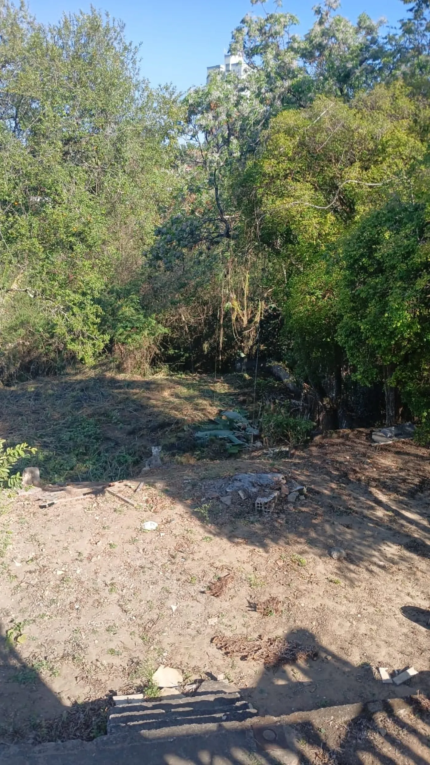 Comprar Terreno / Área em São José dos Campos R$ 1.300.000,00 - Foto 8
