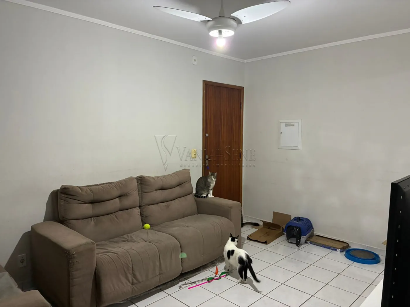Comprar Apartamento / Padrão em São José dos Campos R$ 260.000,00 - Foto 3
