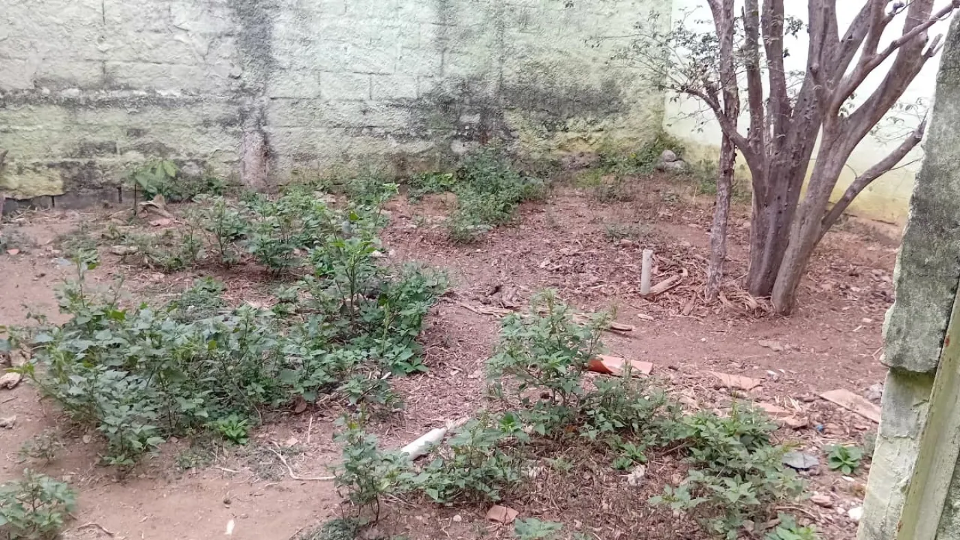 Comprar Casa / Padrão em São José dos Campos R$ 405.000,00 - Foto 12