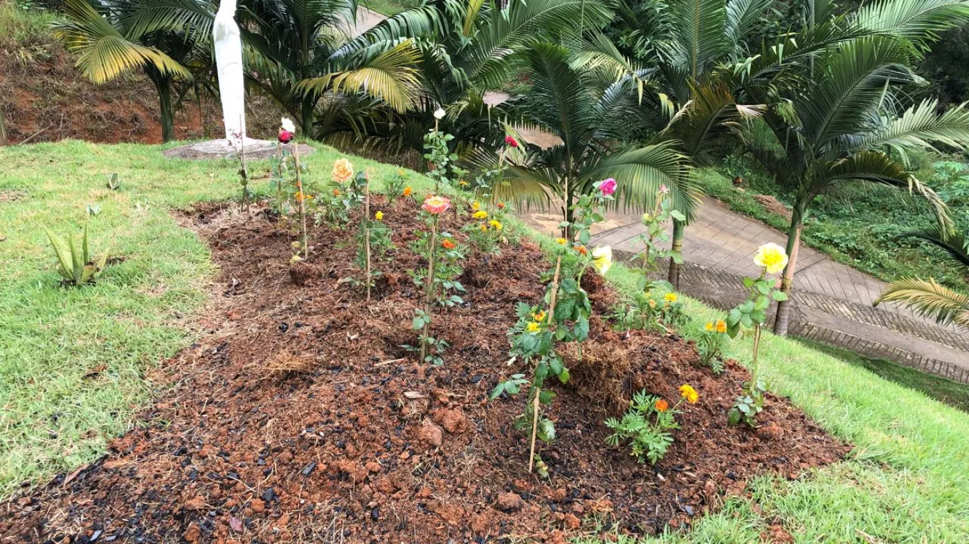 Comprar Rural / Chácara em São José dos Campos R$ 424.000,00 - Foto 7