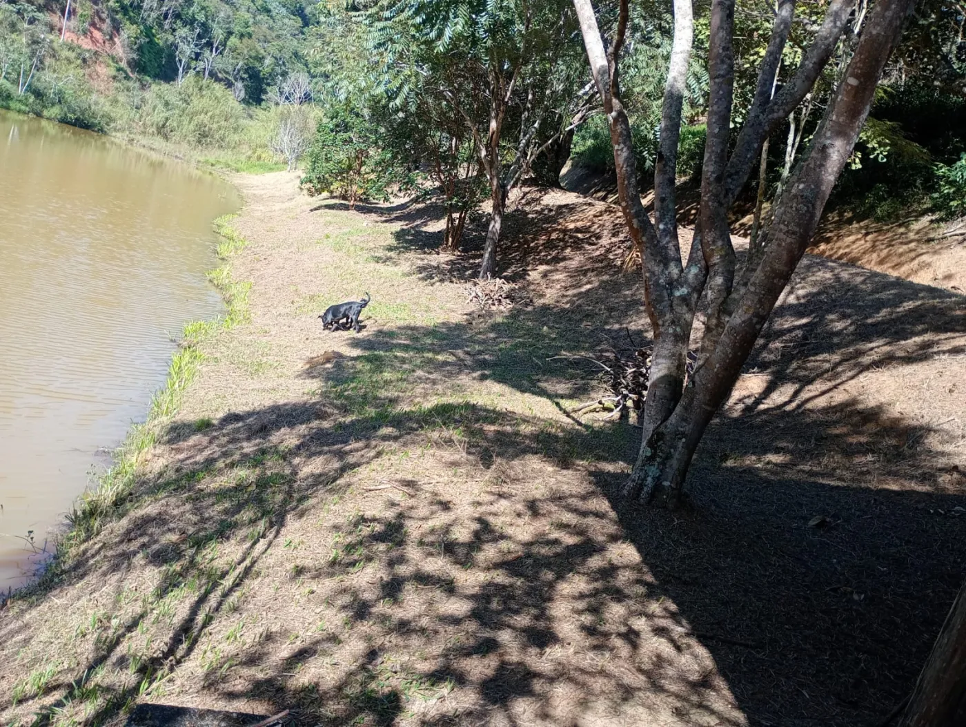 Comprar Rural / Chácara em São José dos Campos R$ 424.000,00 - Foto 18