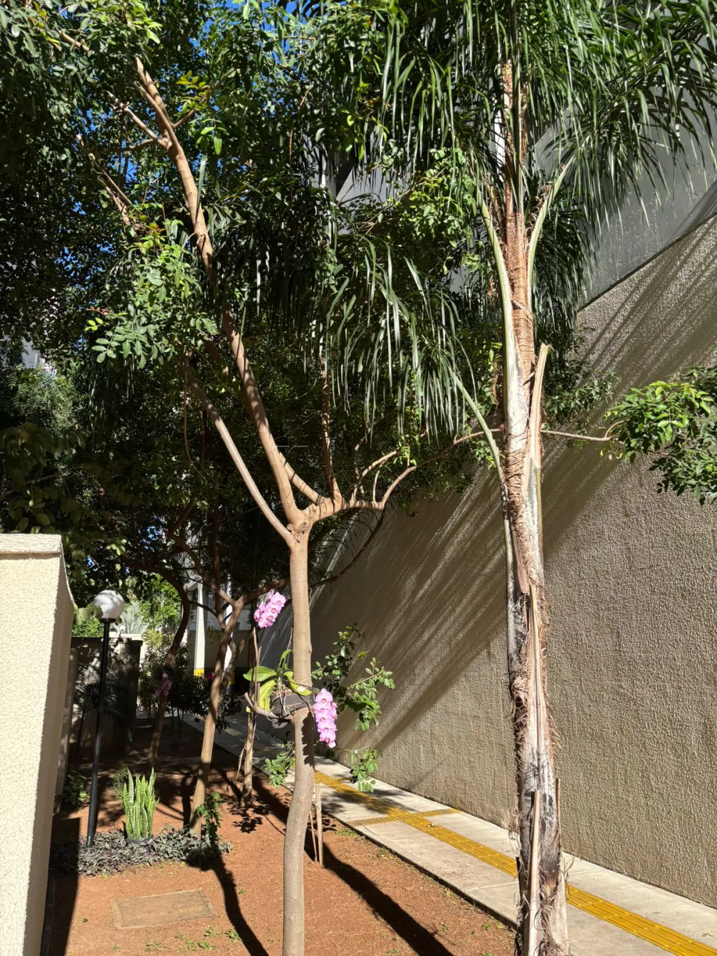 Comprar Apartamento / Padrão em São José dos Campos R$ 330.000,00 - Foto 13