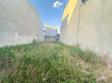 imagem 2 - Venda de Terreno 130m² - Padrão na Vila das Flores em São José dos Campos/SP imagem 2 - Venda de Terreno 130m² - Padrão na Vila das Flores em São José dos Campos/SP