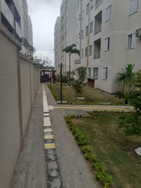 imagem 4 - Apartamento à Venda no Campo di Roma: Seu Novo Lar! imagem 4 - Apartamento à Venda no Campo di Roma: Seu Novo Lar!