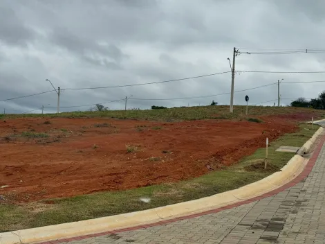 imagem 4 - Terreno à Venda: Construa a Casa dos Seus Sonhos! imagem 4 - Terreno à Venda: Construa a Casa dos Seus Sonhos!