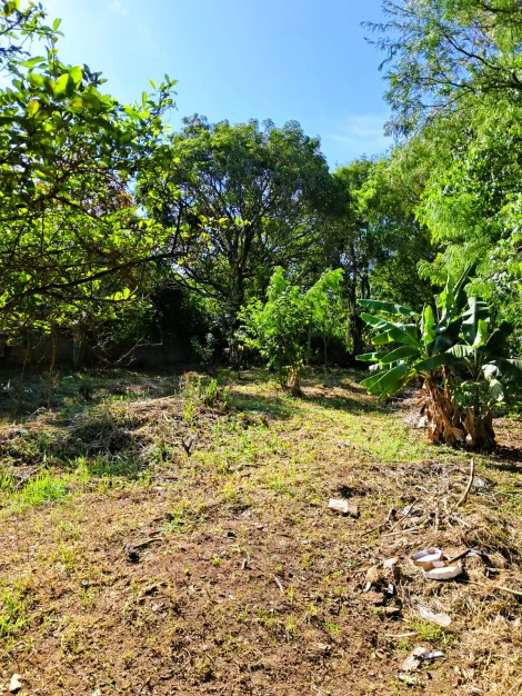 imagem 4 - Chácara com 3 Casas à Venda - A Oportunidade Perfeita Para Seu Novo Lar! imagem 4 - Chácara com 3 Casas à Venda - A Oportunidade Perfeita Para Seu Novo Lar!