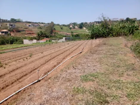 imagem 4 - Venda: Chácara Espetacular A Oportunidade que Você Esperava imagem 4 - Venda: Chácara Espetacular A Oportunidade que Você Esperava