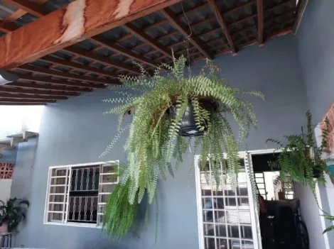 imagem 3 - Casa - Padrão imagem 3 - Casa - Padrão