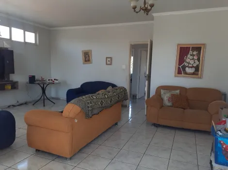 imagem 5 - Casa - Padrão imagem 5 - Casa - Padrão