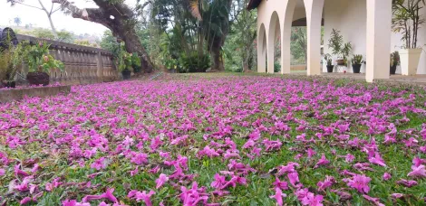 imagem 3 - Oportunidade Única! Casa Sobrado à Venda no Condomínio Village Alpino! imagem 3 - Oportunidade Única! Casa Sobrado à Venda no Condomínio Village Alpino!