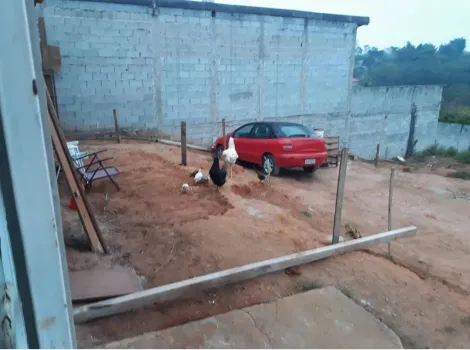 imagem 3 - Viva em Harmonia com a Natureza - À Venda! imagem 3 - Viva em Harmonia com a Natureza - À Venda!