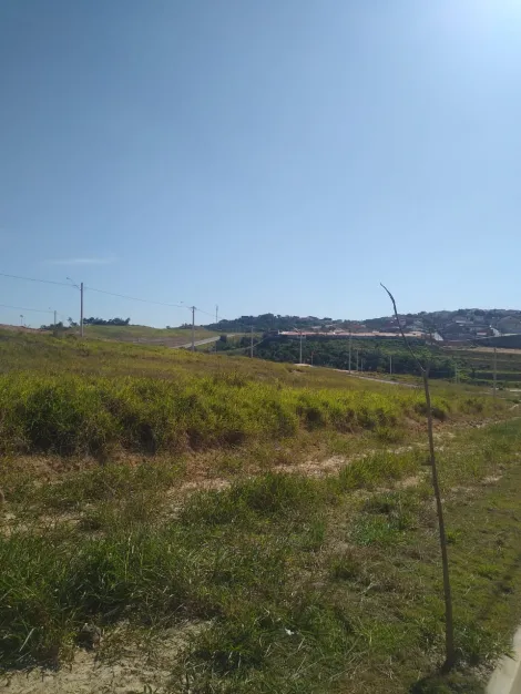 imagem 1 - Terreno à Venda no Bairro Vila Amélia! imagem 1 - Terreno à Venda no Bairro Vila Amélia!