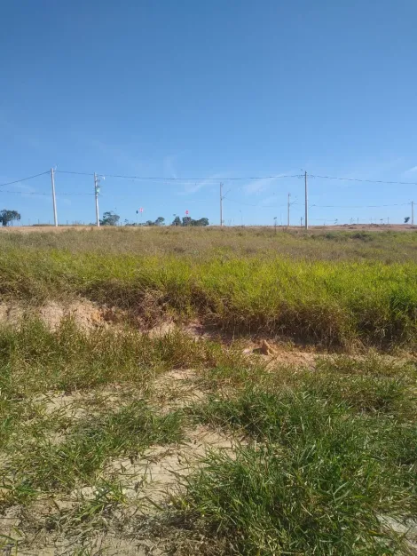 imagem 4 - Terreno à Venda no Bairro Vila Amélia! imagem 4 - Terreno à Venda no Bairro Vila Amélia!