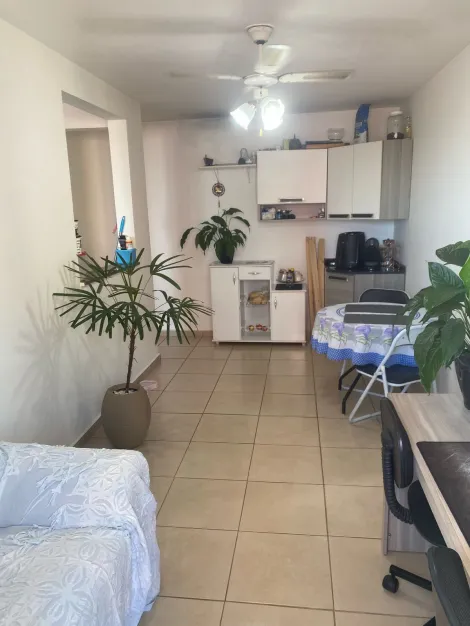 imagem 3 - Apartamento à Venda no Parque Industria3 dorms, sacada! imagem 3 - Apartamento à Venda no Parque Industria3 dorms, sacada!