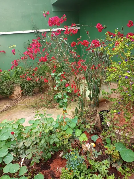 imagem 4 - Casa - Padrão imagem 4 - Casa - Padrão