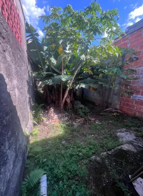 imagem 3 - Casa à Venda na Vila Tatetuba - São José dos Campos imagem 3 - Casa à Venda na Vila Tatetuba - São José dos Campos