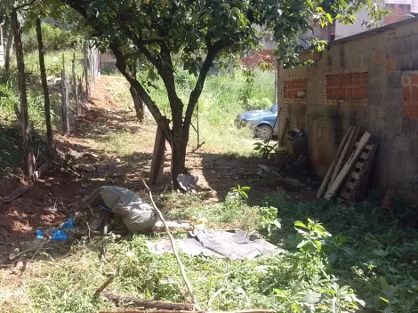 imagem 1 - Terreno à Venda no Jardim Santa Hermínia - São José dos Campos imagem 1 - Terreno à Venda no Jardim Santa Hermínia - São José dos Campos