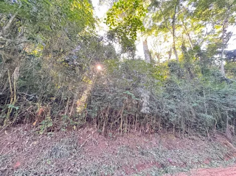 imagem 1 - Oportunidade Imperdível em Jambeiro/SP! - Venda de Chácara com 5.000 m² - Fácil Acesso! apenas R$150.000 imagem 1 - Oportunidade Imperdível em Jambeiro/SP! - Venda de Chácara com 5.000 m² - Fácil Acesso! apenas R$150.000