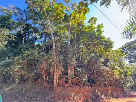 imagem 2 - Oportunidade Imperdível em Jambeiro/SP! - Venda de Chácara com 5.000 m² - Fácil Acesso! apenas R$150.000 imagem 2 - Oportunidade Imperdível em Jambeiro/SP! - Venda de Chácara com 5.000 m² - Fácil Acesso! apenas R$150.000