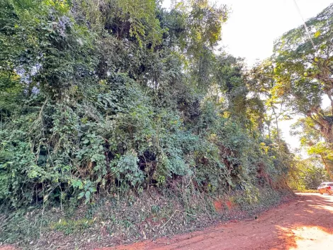 imagem 4 - Oportunidade Imperdível em Jambeiro/SP! - Venda de Chácara com 5.000 m² - Fácil Acesso! apenas R$150.000 imagem 4 - Oportunidade Imperdível em Jambeiro/SP! - Venda de Chácara com 5.000 m² - Fácil Acesso! apenas R$150.000