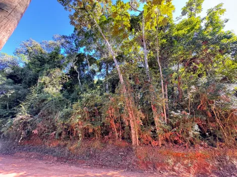 imagem 5 - Oportunidade Imperdível em Jambeiro/SP! - Venda de Chácara com 5.000 m² - Fácil Acesso! apenas R$150.000 imagem 5 - Oportunidade Imperdível em Jambeiro/SP! - Venda de Chácara com 5.000 m² - Fácil Acesso! apenas R$150.000