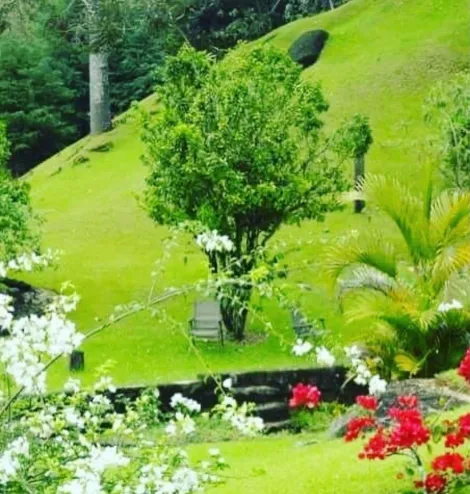 imagem 3 - Venda de Sítio em São Francisco Xavier - Oportunidade Única! imagem 3 - Venda de Sítio em São Francisco Xavier - Oportunidade Única!