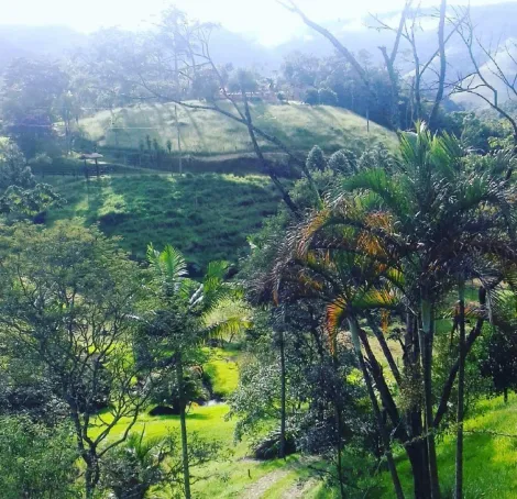 imagem 4 - Venda de Sítio em São Francisco Xavier - Oportunidade Única! imagem 4 - Venda de Sítio em São Francisco Xavier - Oportunidade Única!