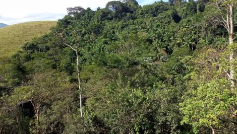 imagem 3 - Venda de Terreno - Bairro do Pocinho em São Francisco Xavier, São José dos Campos/SP. imagem 3 - Venda de Terreno - Bairro do Pocinho em São Francisco Xavier, São José dos Campos/SP.