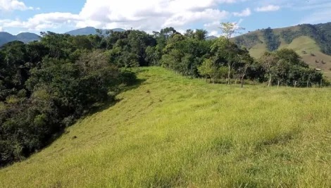 imagem 4 - Venda de Terreno - Bairro do Pocinho em São Francisco Xavier, São José dos Campos/SP. imagem 4 - Venda de Terreno - Bairro do Pocinho em São Francisco Xavier, São José dos Campos/SP.