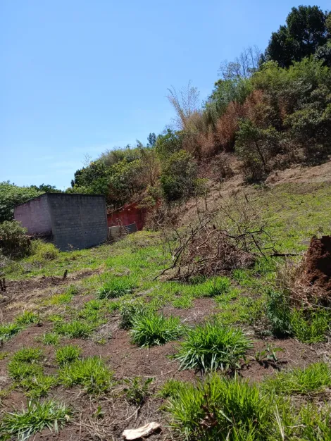 imagem 3 - Terreno - Área imagem 3 - Terreno - Área