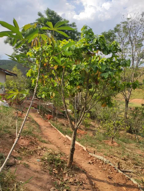 imagem 5 - Chácara à Venda no Jardim Colônia - Jacareí/SP imagem 5 - Chácara à Venda no Jardim Colônia - Jacareí/SP